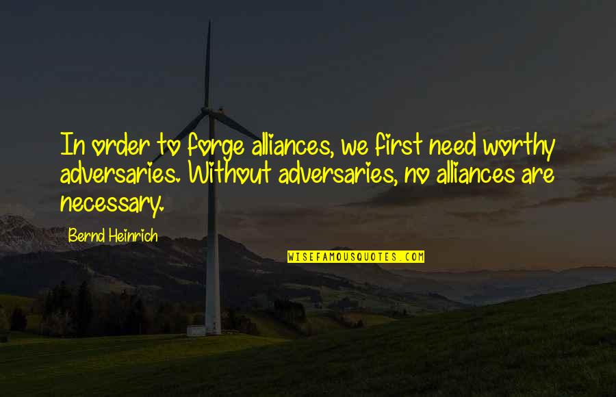 14 Youtube Quotes By Bernd Heinrich: In order to forge alliances, we first need 14 Youtube Quotes By Bernd Heinrich: In order to forge alliances, we first need