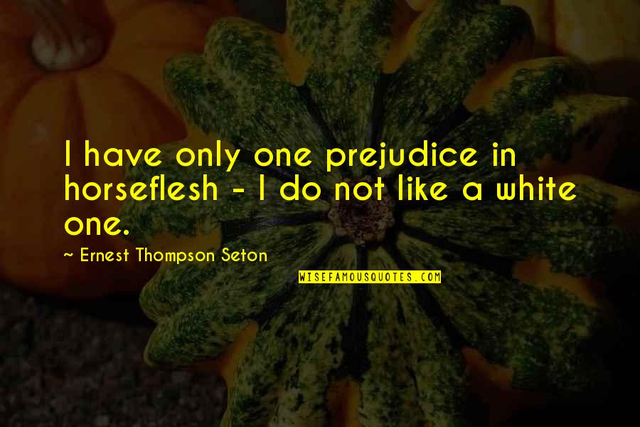 14122 Quotes By Ernest Thompson Seton: I have only one prejudice in horseflesh -