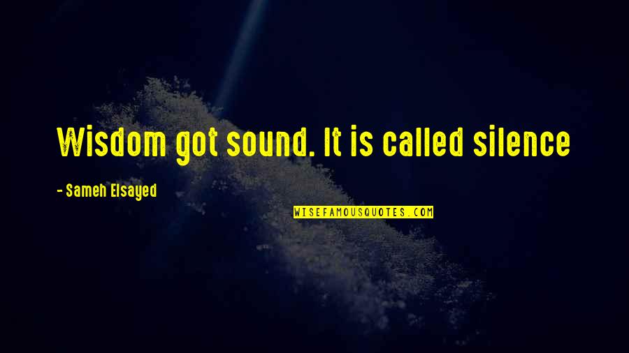 14225 Quotes By Sameh Elsayed: Wisdom got sound. It is called silence