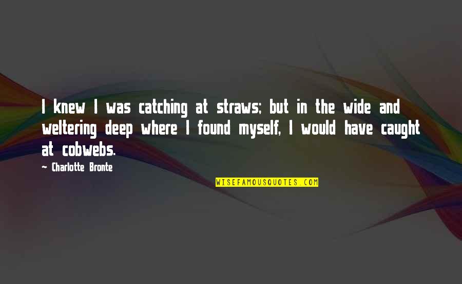 15 Days To Go Countdown Quotes By Charlotte Bronte: I knew I was catching at straws; but