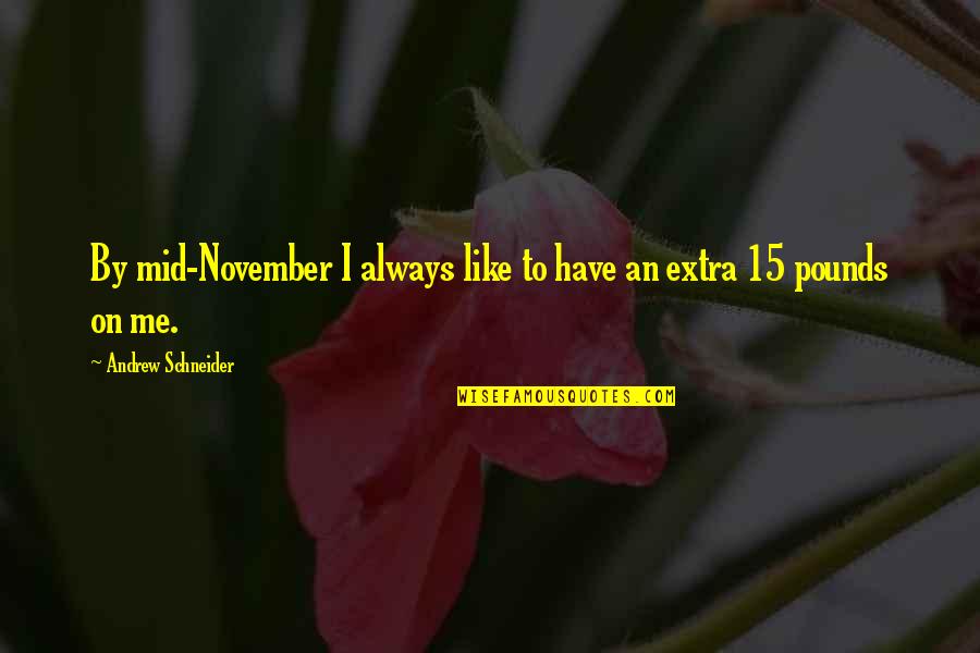 November 15 Quotes By Andrew Schneider: By mid-November I always like to have an