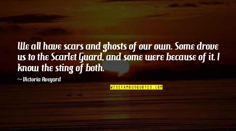 15777 Quotes By Victoria Aveyard: We all have scars and ghosts of our