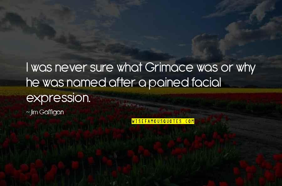 1599 Ballou Quotes By Jim Gaffigan: I was never sure what Grimace was or