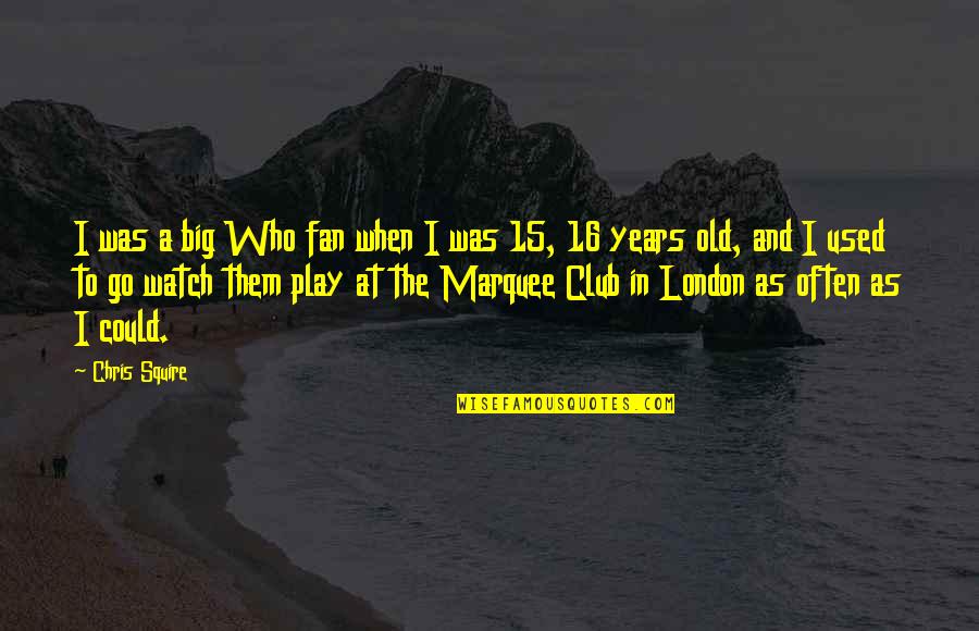 16 Years Old Quotes By Chris Squire: I was a big Who fan when I