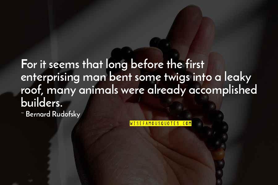 1627 Shark Quotes By Bernard Rudofsky: For it seems that long before the first 1627 Shark Quotes By Bernard Rudofsky: For it seems that long before the first