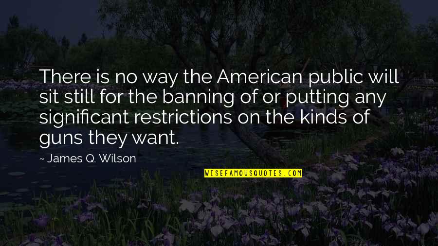 16900 Mg8 003 Quotes By James Q. Wilson: There is no way the American public will 16900 Mg8 003 Quotes By James Q. Wilson: There is no way the American public will