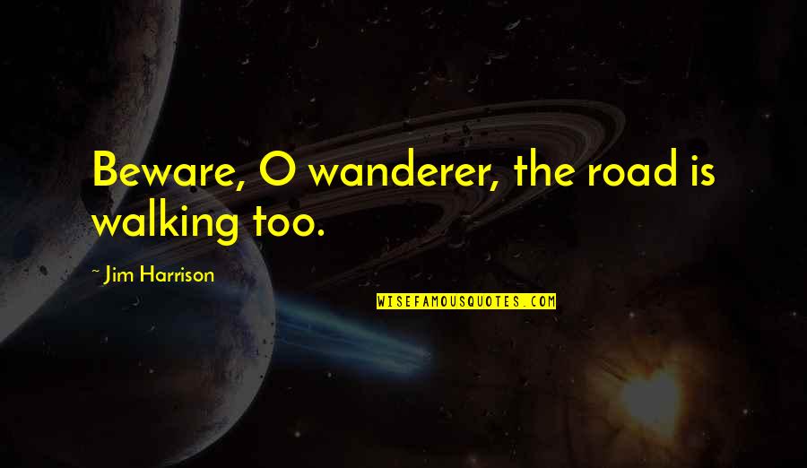 1696 Mcgovern Quotes By Jim Harrison: Beware, O wanderer, the road is walking too.