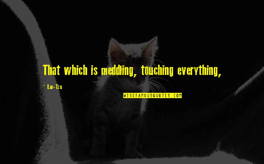 1730 Time Quotes By Lao-Tzu: That which is meddling, touching everything,
