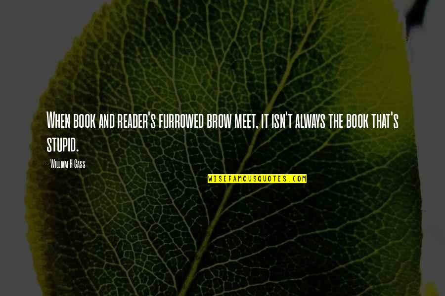 173rd Quotes By William H Gass: When book and reader's furrowed brow meet, it