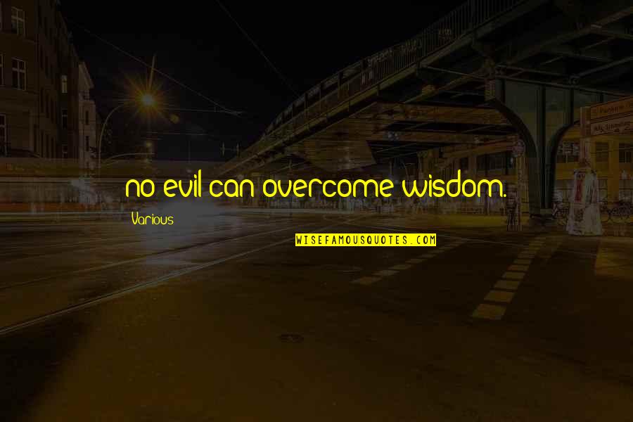1740 Quotes By Various: no evil can overcome wisdom.
