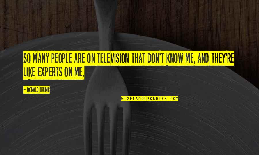 1767 Sawgrass Quotes By Donald Trump: So many people are on television that don't