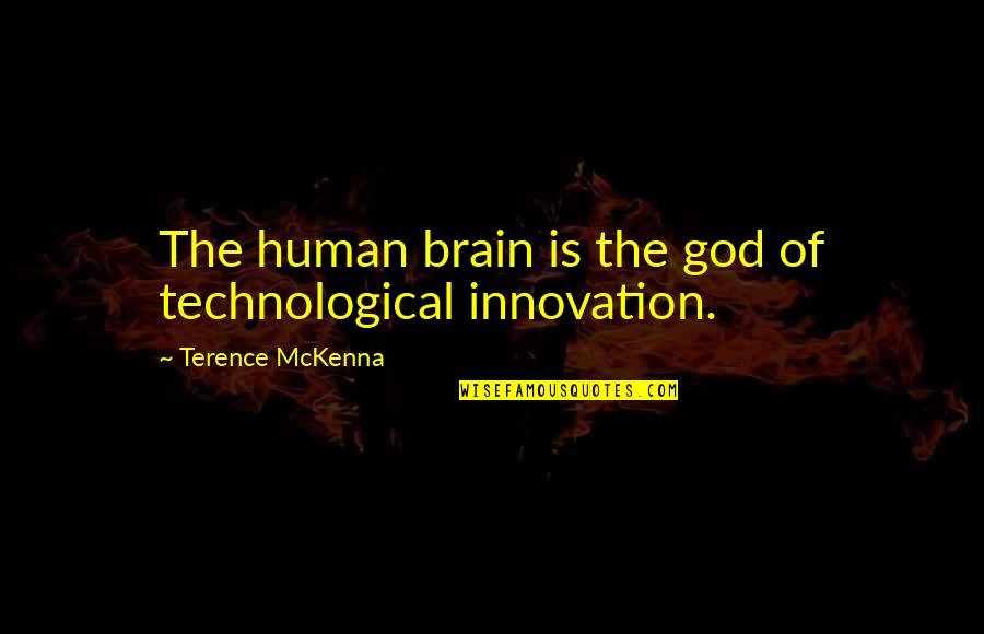 1778 Coins Quotes By Terence McKenna: The human brain is the god of technological 1778 Coins Quotes By Terence McKenna: The human brain is the god of technological