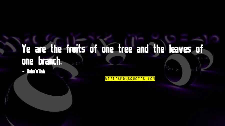 1780 Dress Quotes By Baha'u'llah: Ye are the fruits of one tree and
