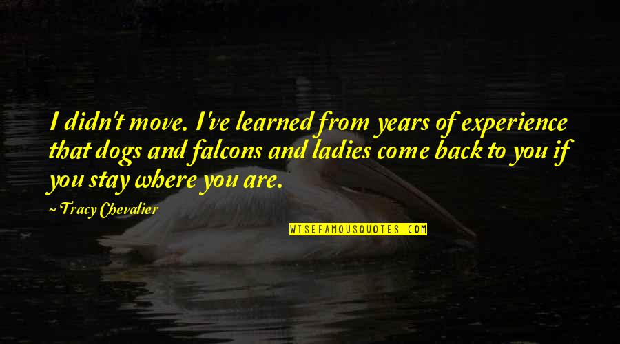 1796 Silver Quotes By Tracy Chevalier: I didn't move. I've learned from years of