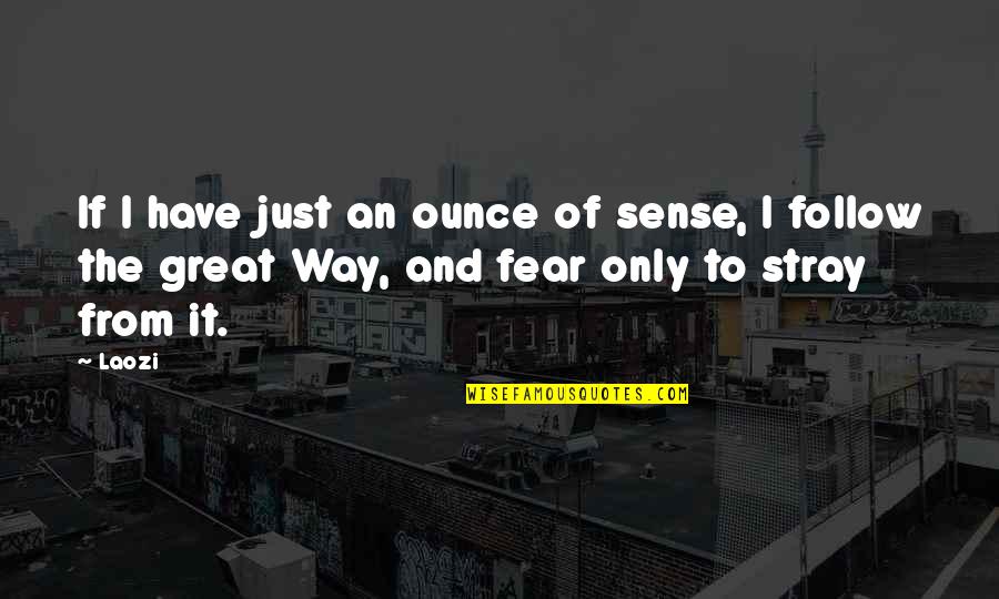 1812348c1 Quotes By Laozi: If I have just an ounce of sense,