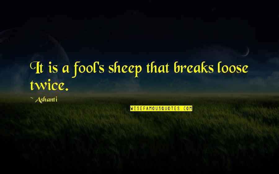 1830 Census Quotes By Ashanti: It is a fool's sheep that breaks loose