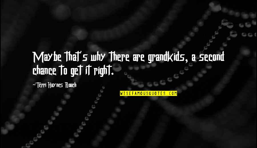 18650 Quotes By Terri Haynes Roach: Maybe that's why there are grandkids, a second 18650 Quotes By Terri Haynes Roach: Maybe that's why there are grandkids, a second
