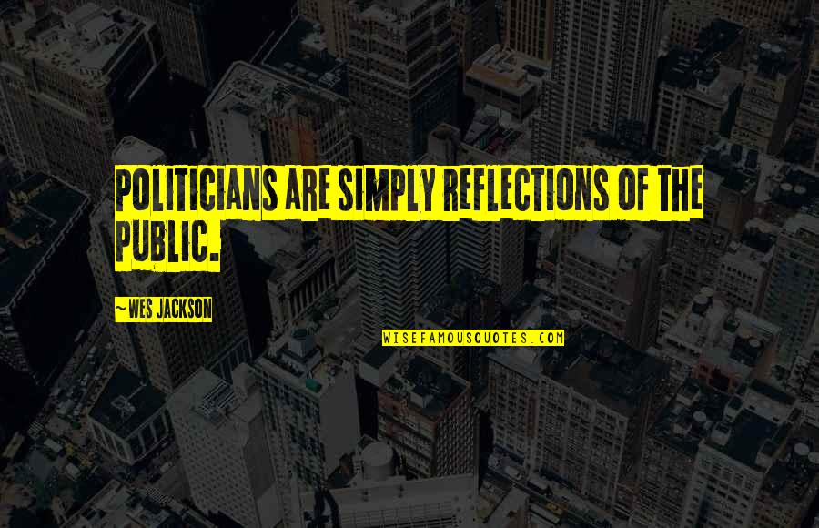 188th District Quotes By Wes Jackson: Politicians are simply reflections of the public.