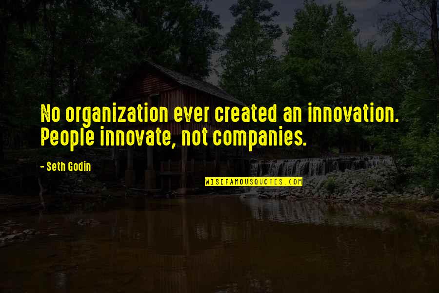 18awgx2c Quotes By Seth Godin: No organization ever created an innovation. People innovate,