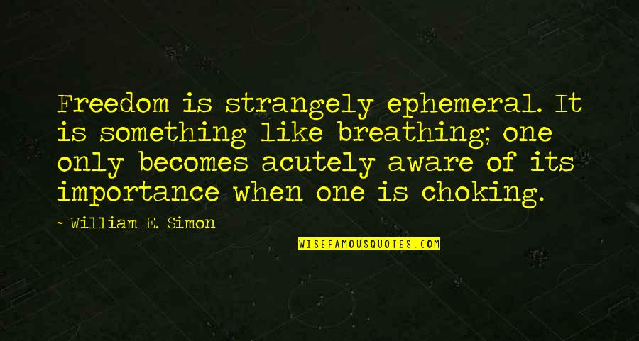 18be Vimeo Quotes By William E. Simon: Freedom is strangely ephemeral. It is something like 18be Vimeo Quotes By William E. Simon: Freedom is strangely ephemeral. It is something like