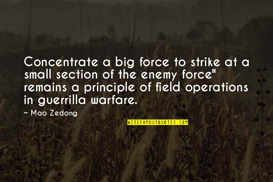 19 Years Old Quotes By Mao Zedong: Concentrate a big force to strike at a