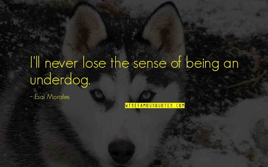 1900 Quotes By Esai Morales: I'll never lose the sense of being an