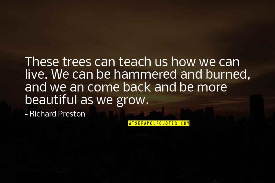 1911 Film Quotes By Richard Preston: These trees can teach us how we can