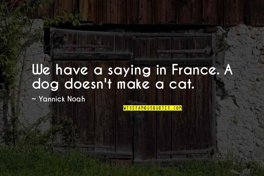 1911 Gun Quotes By Yannick Noah: We have a saying in France. A dog