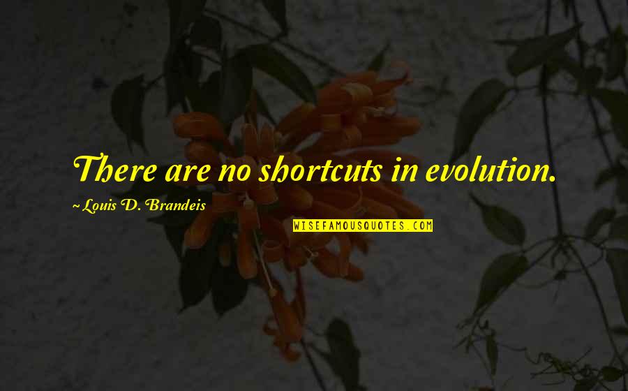 1914 Book Quotes By Louis D. Brandeis: There are no shortcuts in evolution.