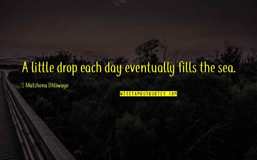 1921 Movie Quotes By Matshona Dhliwayo: A little drop each day eventually fills the