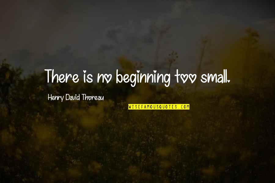 1931 China Floods Quotes By Henry David Thoreau: There is no beginning too small.