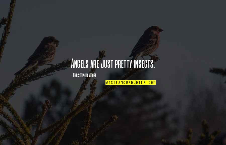1960s Australian Quotes By Christopher Moore: Angels are just pretty insects.