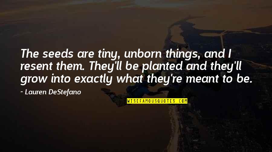 1962 Calendar Quotes By Lauren DeStefano: The seeds are tiny, unborn things, and I 1962 Calendar Quotes By Lauren DeStefano: The seeds are tiny, unborn things, and I