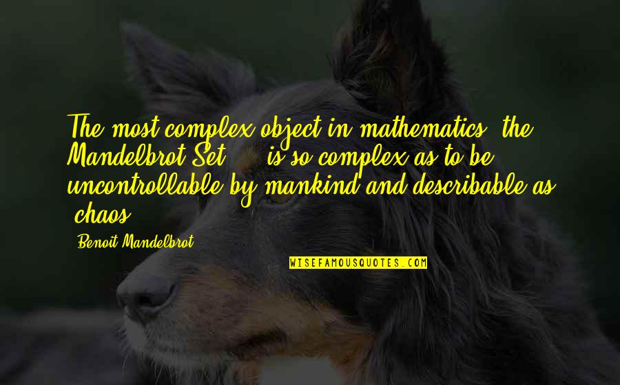 1999 Champions League Final Quotes By Benoit Mandelbrot: The most complex object in mathematics, the Mandelbrot