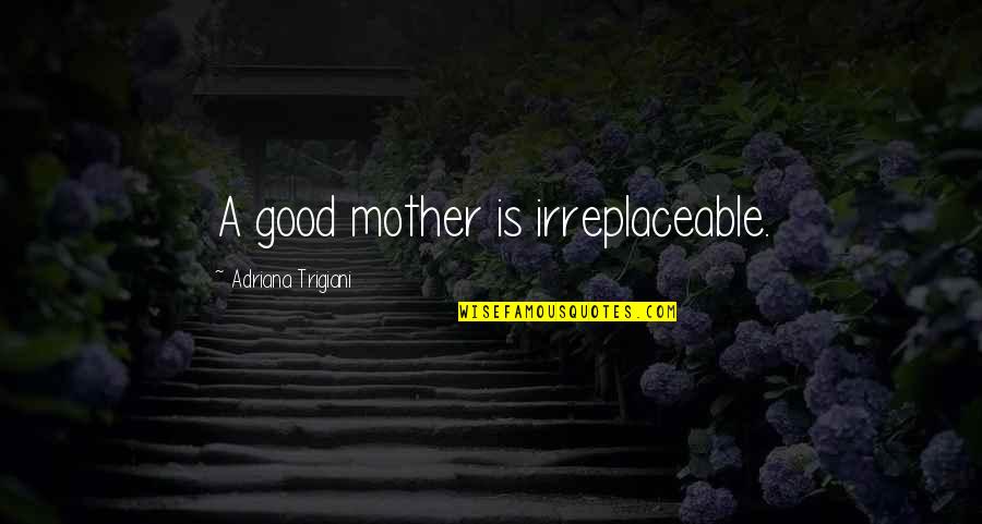 1ns Quotes By Adriana Trigiani: A good mother is irreplaceable.