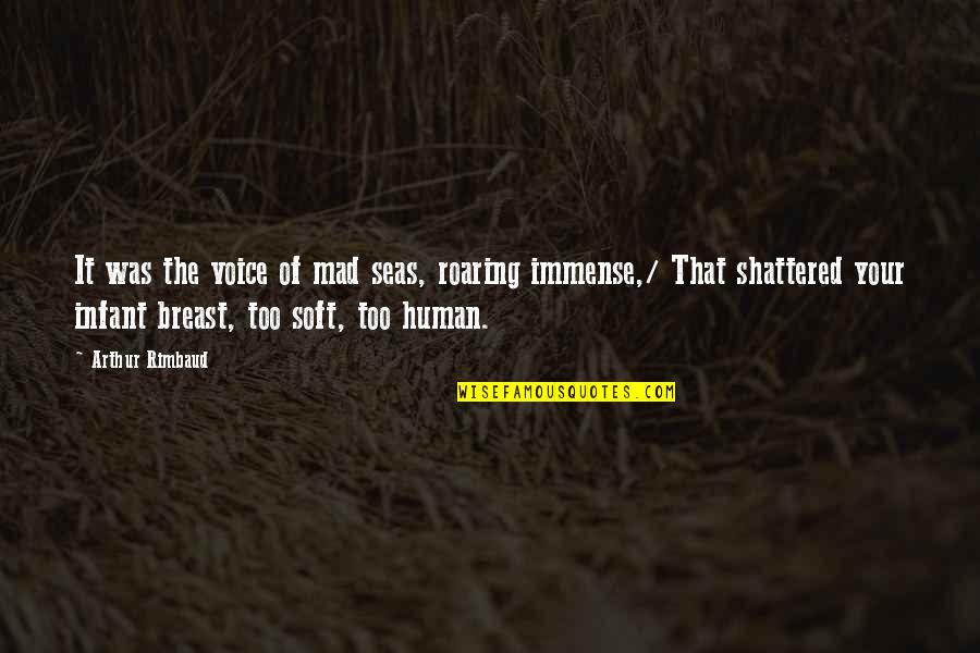 1q84 Aomame Quotes By Arthur Rimbaud: It was the voice of mad seas, roaring