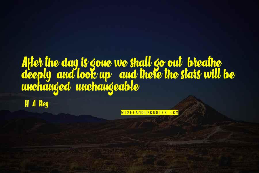 1st Day Of The Month Quotes By H. A. Rey: After the day is gone we shall go
