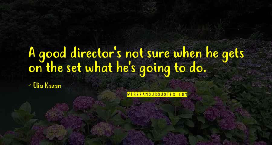 1st Snow Quotes By Elia Kazan: A good director's not sure when he gets