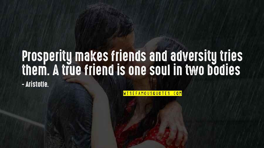 2 Bodies 1 Soul Quotes By Aristotle.: Prosperity makes friends and adversity tries them. A