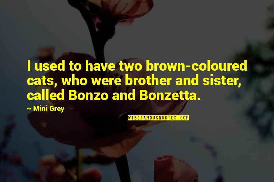 2 Brother 1 Sister Quotes By Mini Grey: I used to have two brown-coloured cats, who
