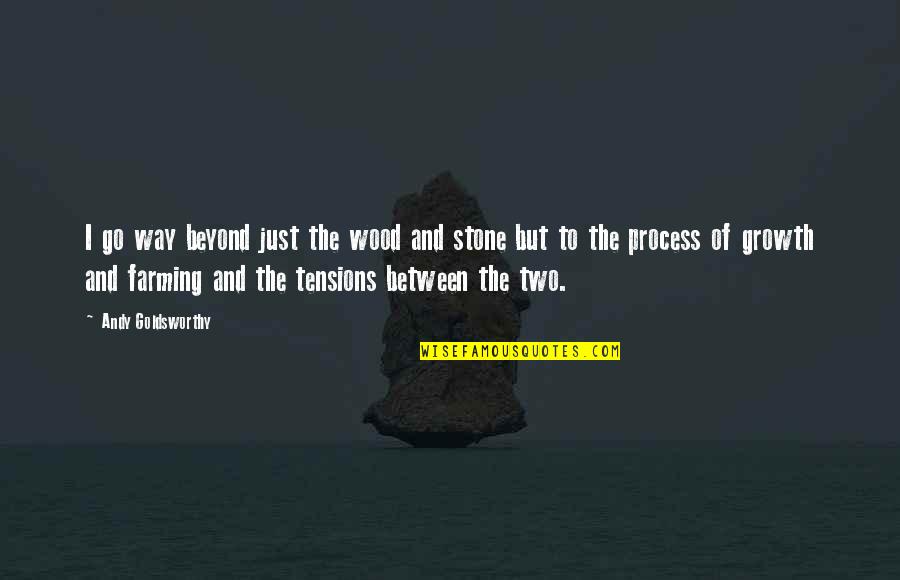 2 By 4 Wood Quotes By Andy Goldsworthy: I go way beyond just the wood and 2 By 4 Wood Quotes By Andy Goldsworthy: I go way beyond just the wood and