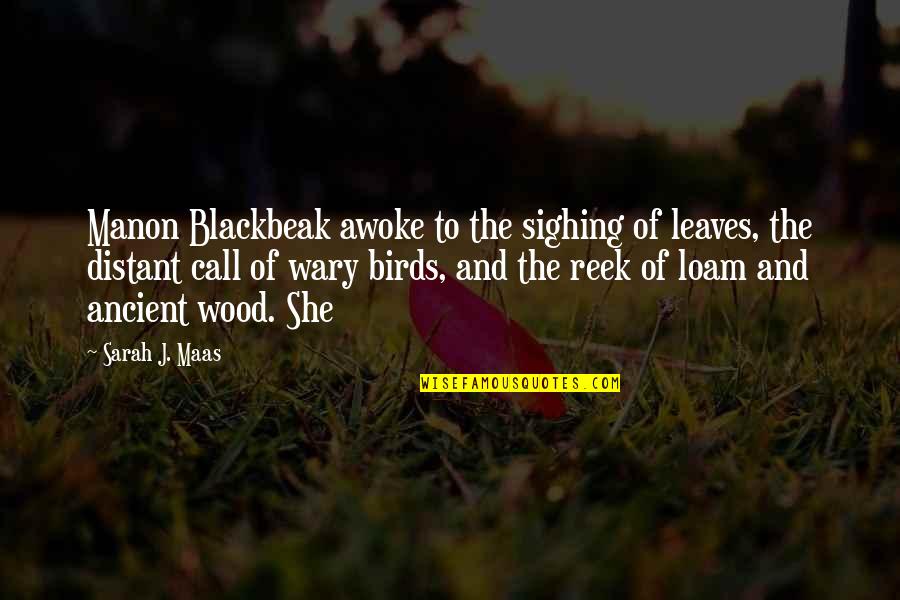 2 By 4 Wood Quotes By Sarah J. Maas: Manon Blackbeak awoke to the sighing of leaves, 2 By 4 Wood Quotes By Sarah J. Maas: Manon Blackbeak awoke to the sighing of leaves,