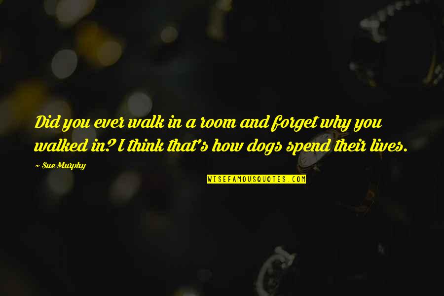 2 Dogs Quotes By Sue Murphy: Did you ever walk in a room and