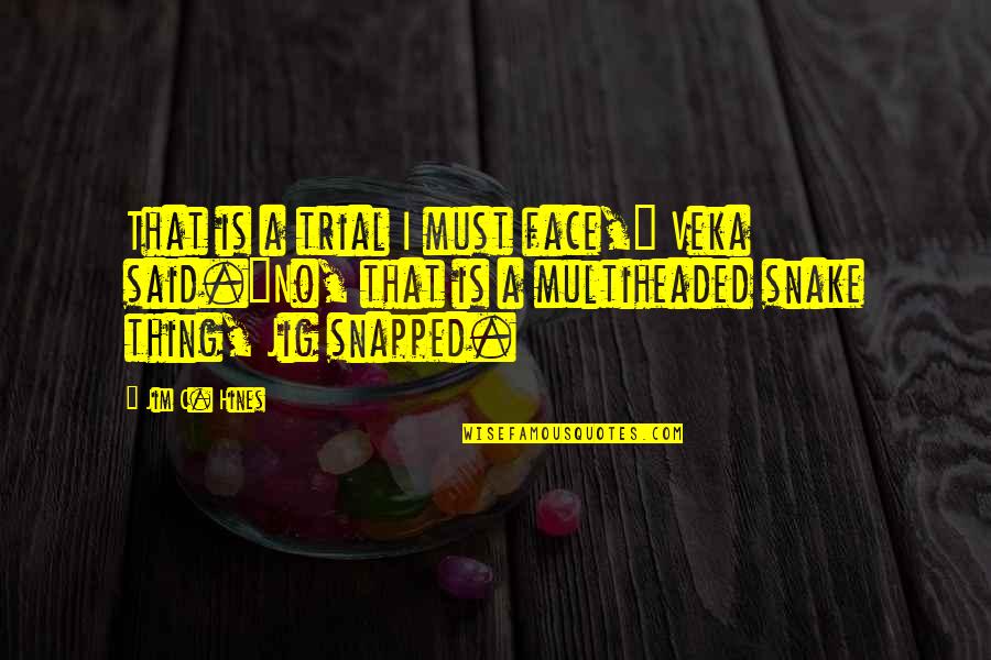 2 Face Quotes By Jim C. Hines: That is a trial I must face," Veka
