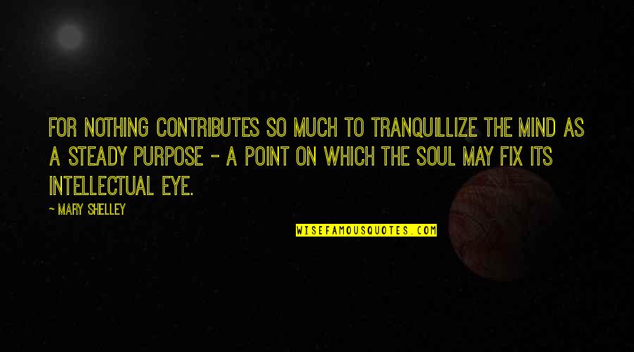 2 Friends Fighting Quotes By Mary Shelley: For nothing contributes so much to tranquillize the