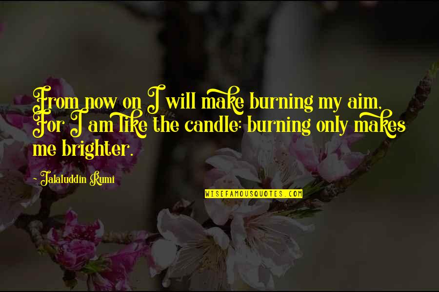 2 Of Me Quotes By Jalaluddin Rumi: From now on I will make burning my