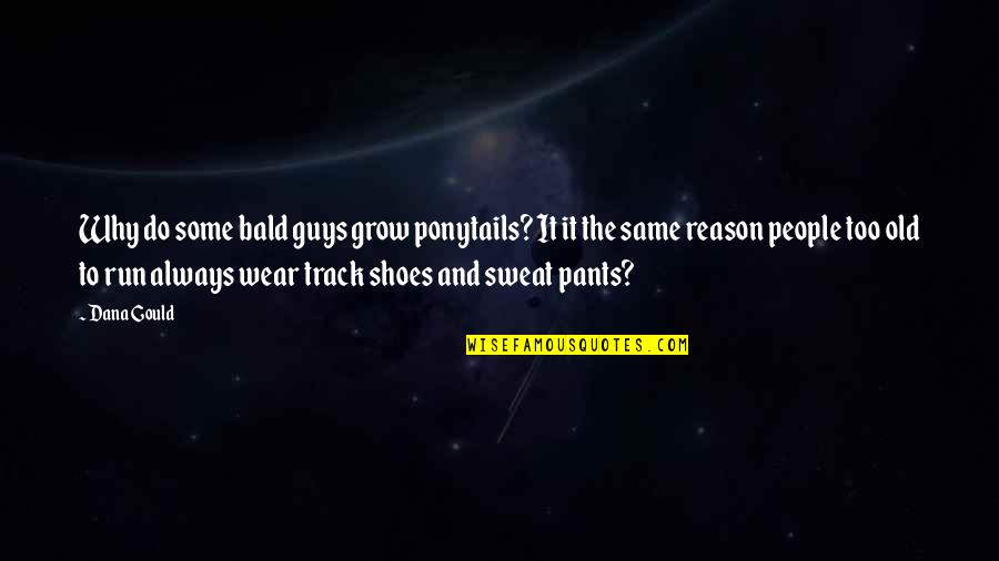 2 Ponytails Quotes By Dana Gould: Why do some bald guys grow ponytails? It 2 Ponytails Quotes By Dana Gould: Why do some bald guys grow ponytails? It