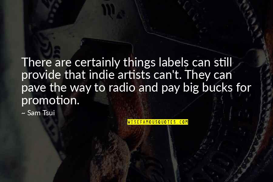 2 Way Radio Quotes By Sam Tsui: There are certainly things labels can still provide