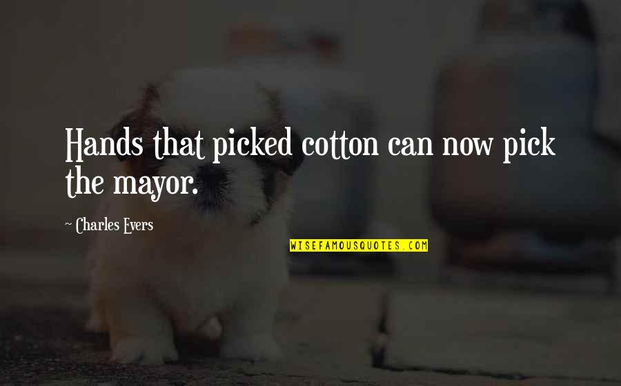 2 Weeks Till The 2nd Trimester Quotes By Charles Evers: Hands that picked cotton can now pick the