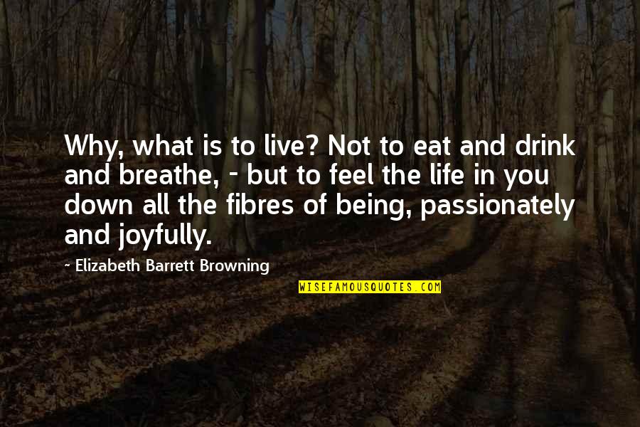 20 Letter Quotes By Elizabeth Barrett Browning: Why, what is to live? Not to eat